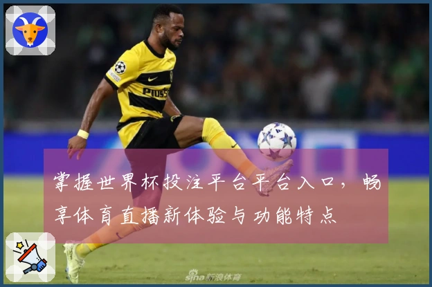 掌握世界杯投注平台平台入口，畅享体育直播新体验与功能特点