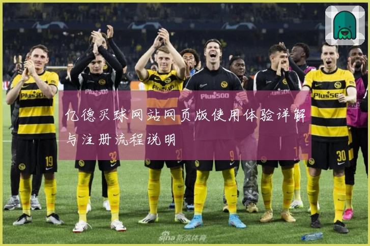 亿德买球网站网页版使用体验详解与注册流程说明