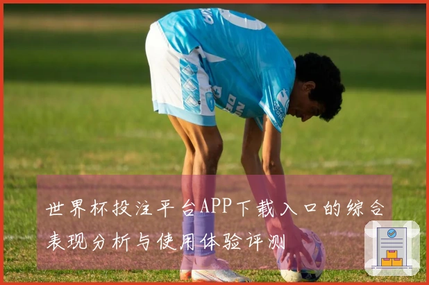 世界杯投注平台APP下载入口的综合表现分析与使用体验评测