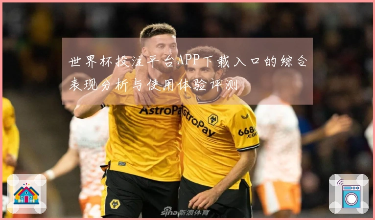 世界杯投注平台APP下载入口的综合表现分析与使用体验评测