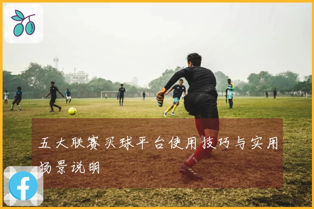 五大联赛买球平台使用技巧与实用场景说明