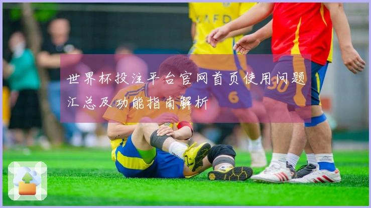 世界杯投注平台官网首页使用问题汇总及功能指南解析