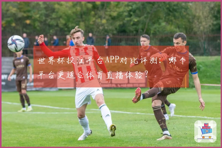 世界杯投注平台APP对比评测：哪个平台更适合体育直播体验？