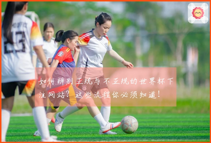 如何辨别正规与不正规的世界杯下注网站?这些流程你必须知道!