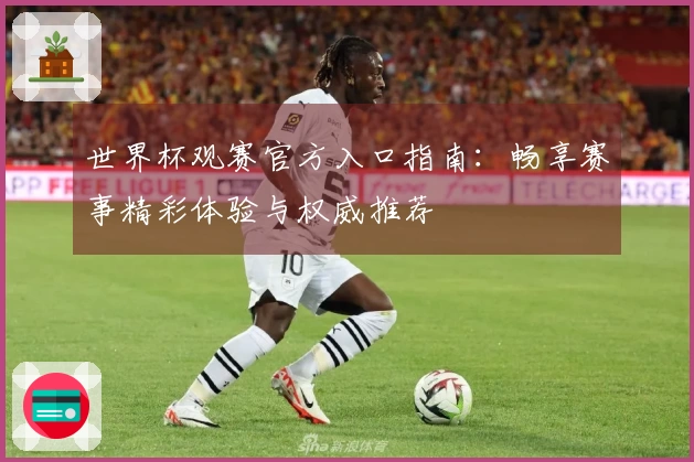 世界杯观赛官方入口指南：畅享赛事精彩体验与权威推荐